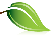 Therapy Services in Scarborough